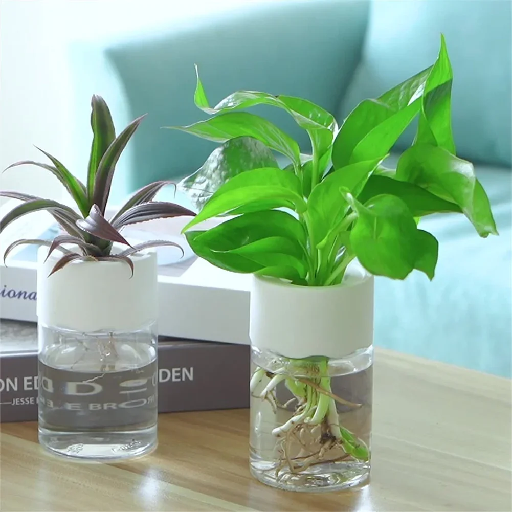 Plant Desk Mini - Mini Vaso Hidropônico Transparente para Plantas