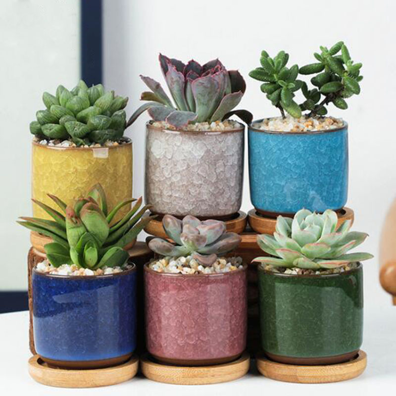 Plant Desk Mini - Conjunto de vaso de cerâmica 6