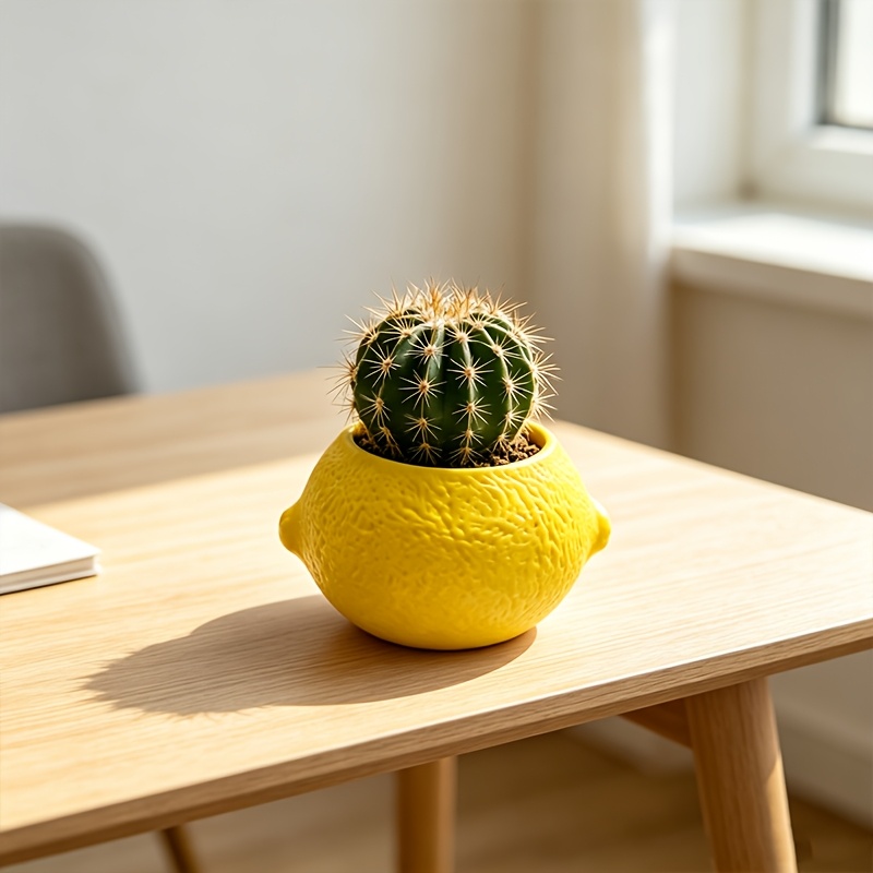 Vaso Decorativo em Forma de Li - Plant Desk Mini avaliação e preço