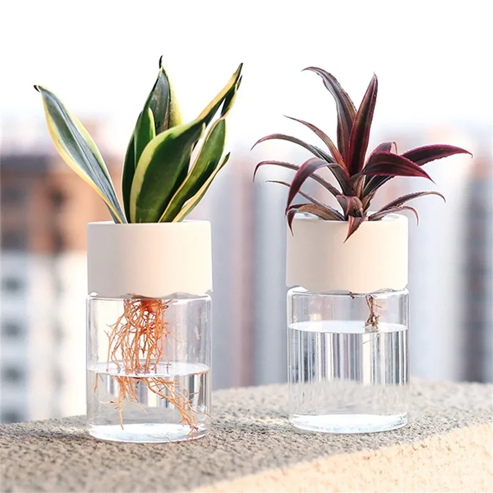 Mini Vaso Hidropônico Transpar - Plant Desk Mini avaliação e preço