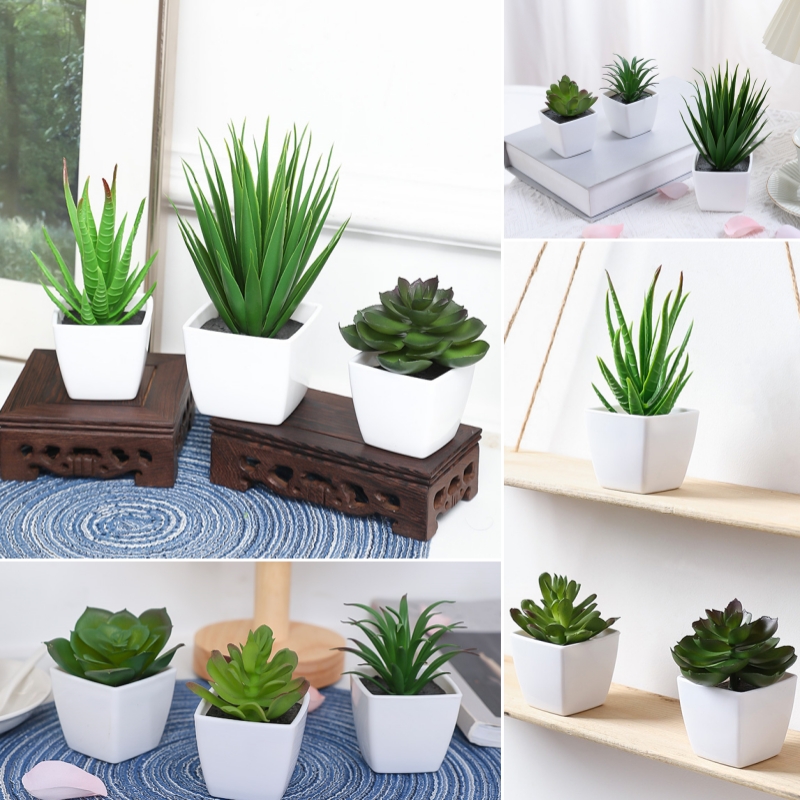 (Um conjunto de 3 peças) mini  - Plant Desk Mini avaliação e preço