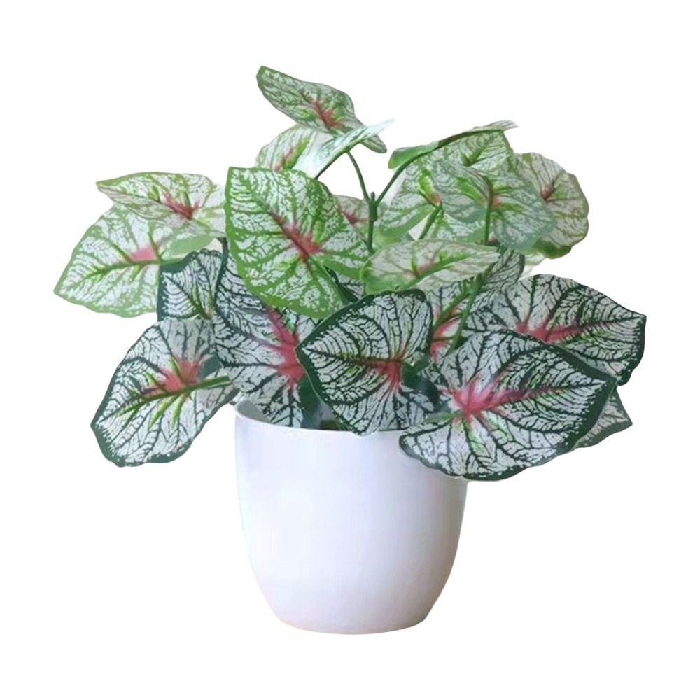 Mini Flores Artificiais em Vas - Plant Desk Mini avaliação e preço